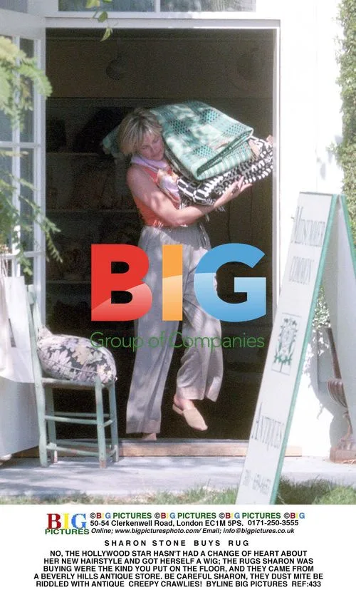Sharon Stone Shops for Antique Rugs