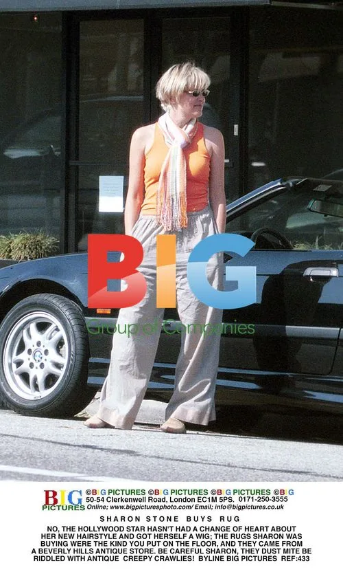 Sharon Stone Buys Rugs
