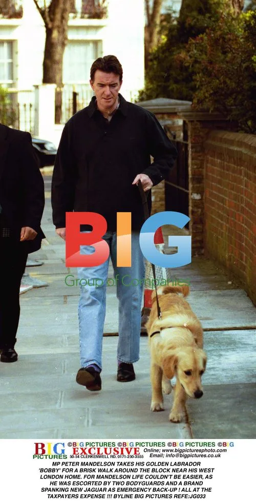 MP Mandelson takes dog for walk with bodyguards