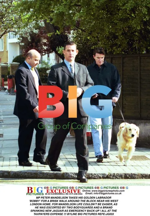 MP Peter Mandelson walks dog with bodyguards