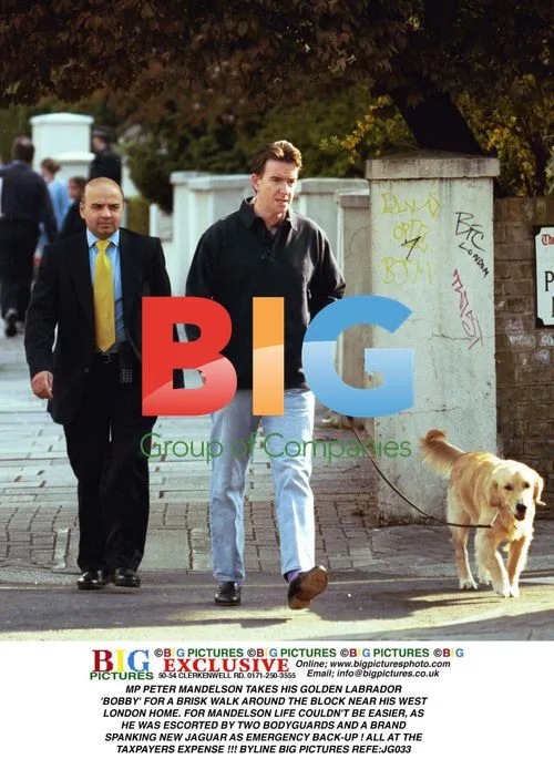 Peter Mandelson Takes Dog for Walk