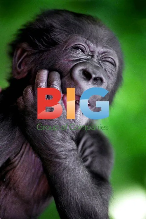 Newborn Gorilla Yakini Gains Stardom
