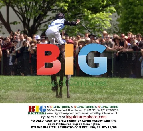 Brew wins 2000 Melbourne Cup