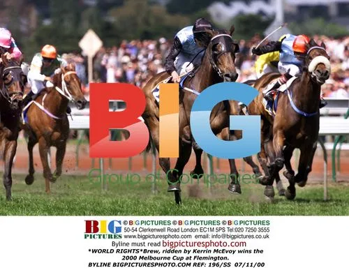Brew wins 2000 Melbourne Cup
