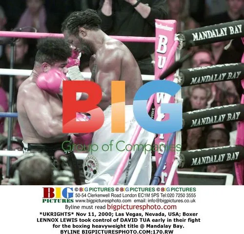 Lennox Lewis vs. David Tua Boxing Match