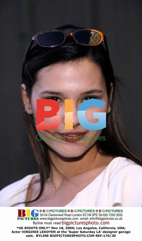 Virginie Ledoyen at 'Super Saturday LA' Garage Sale