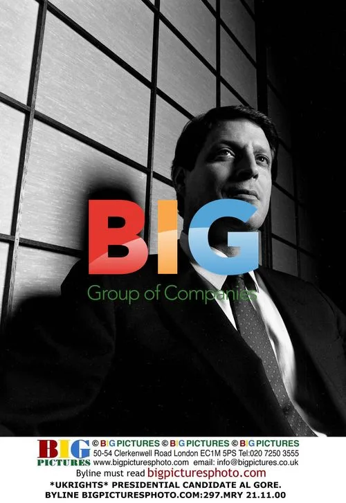 Al Gore, Presidential Candidate