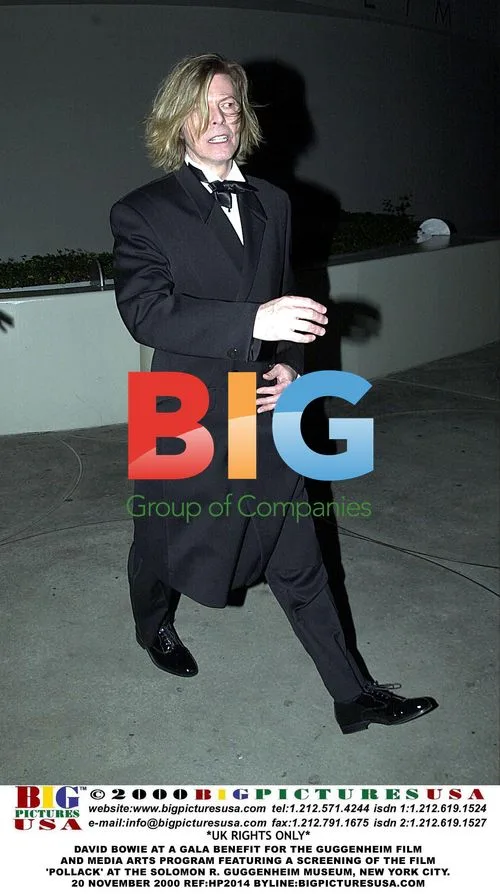 David Bowie at Guggenheim Gala Benefit