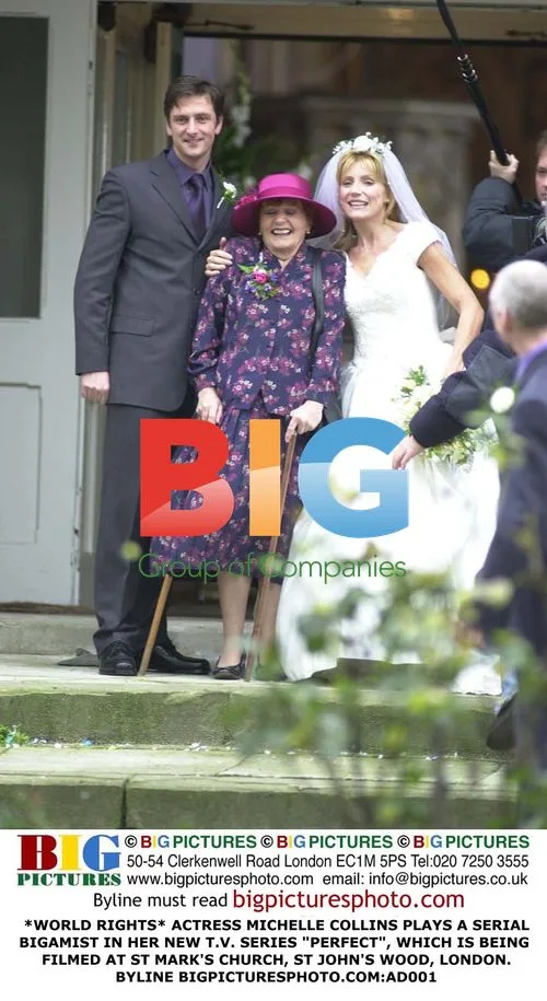 Michelle Collins Plays Bigamist in 'Perfect'