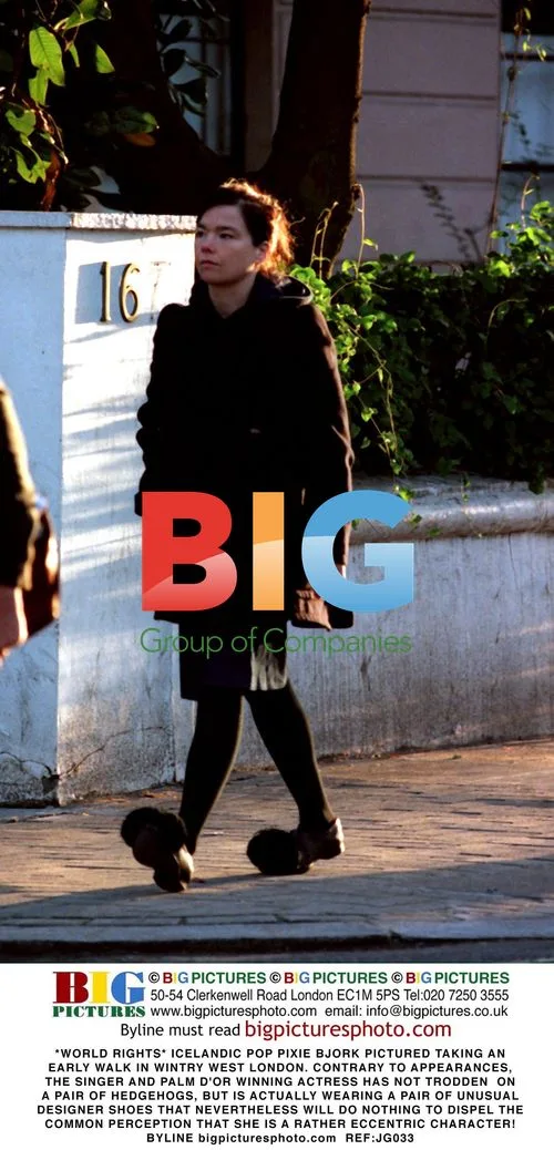 Bjork Takes Early Walk in West London