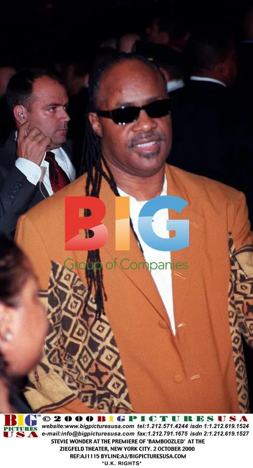 Stevie Wonder at 'Bamboozled' premiere