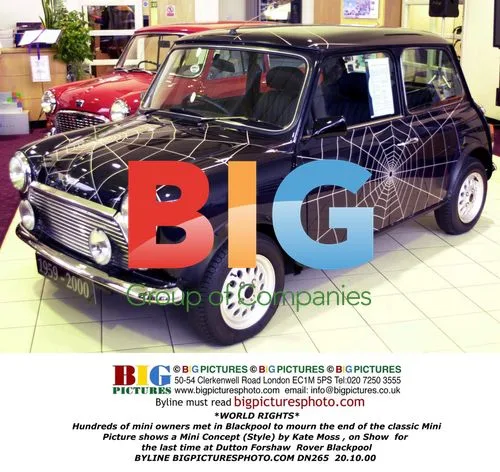 Mini Owners' Tribute in Blackpool