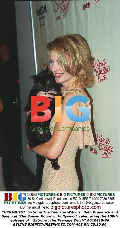Sabrina The Teenage Witch Cast Celebrates 100th Episode