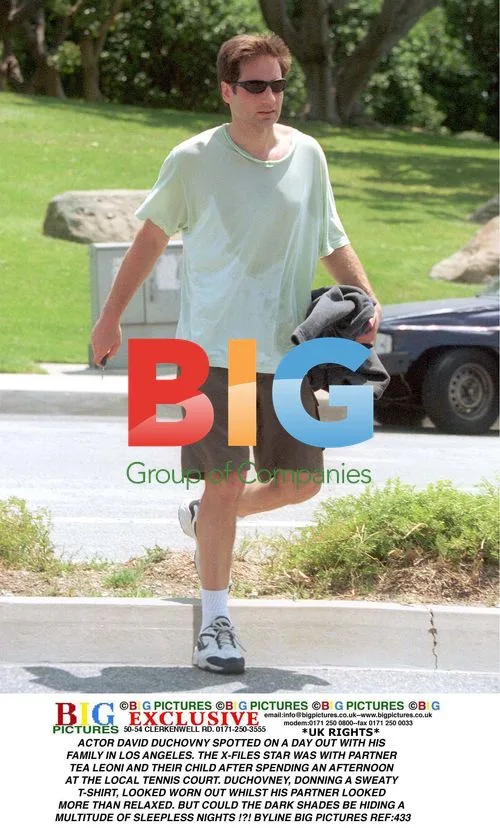 David Duchovny Spotted with Family in LA