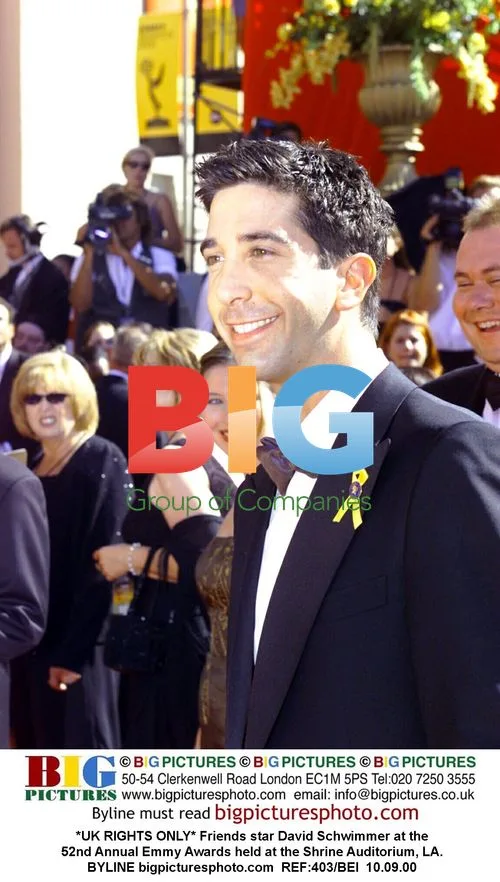 David Schwimmer at 52nd Annual Emmy Awards