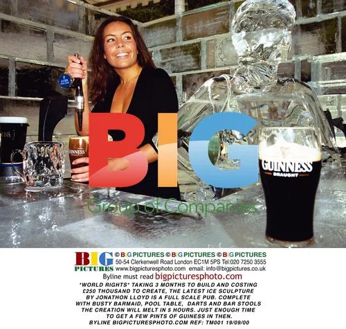 Jonathon Lloyd's Colossal Ice Pub Sculpture