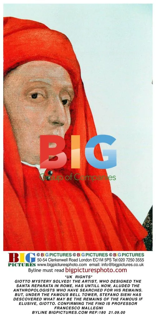 Giotto Mystery Solved!