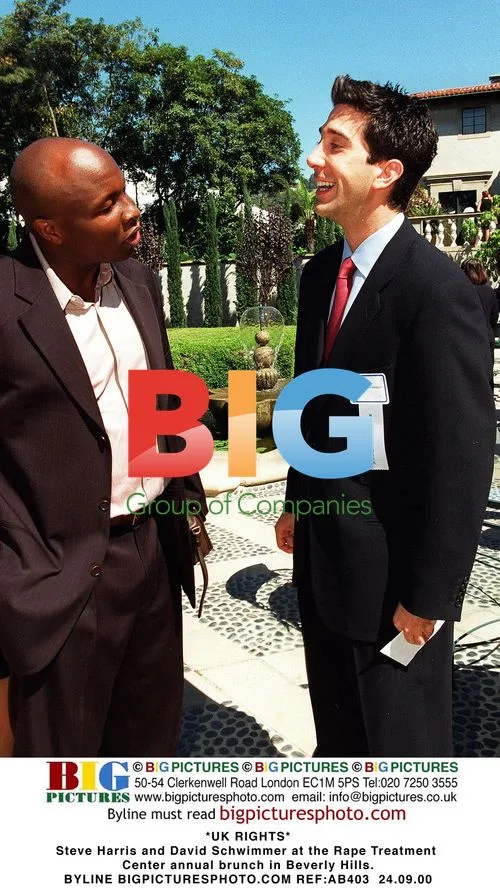Steve Harris and David Schwimmer at Rape Treatment Center Brunch