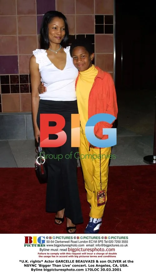 Garcelle Beauvais & son at NSYNC concert