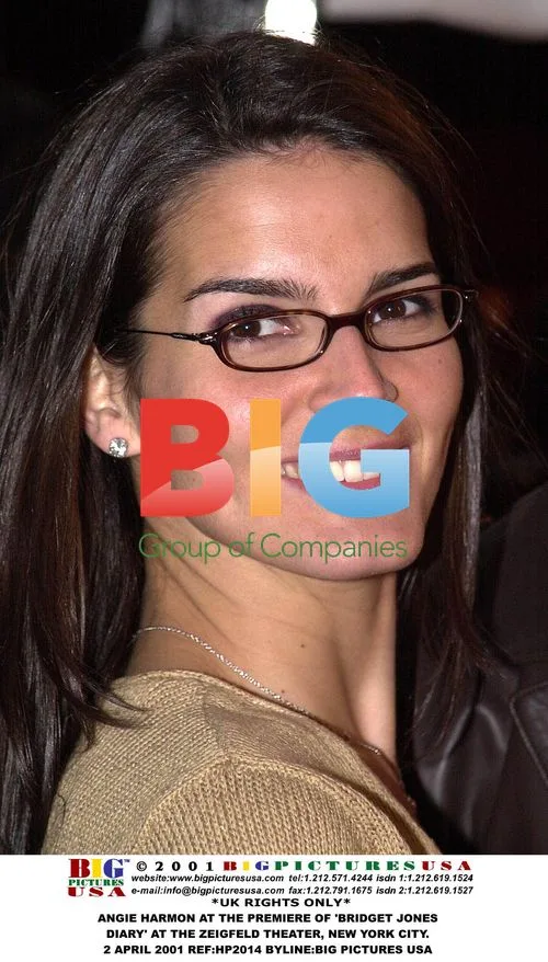 Angie Harmon at 'Bridget Jones' Diary' Premiere