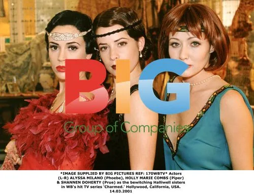 The Halliwell Sisters on 'Charmed'