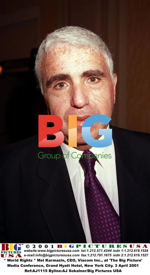Mel Karmazin, Viacom CEO, at 'The Big Picture' Conference