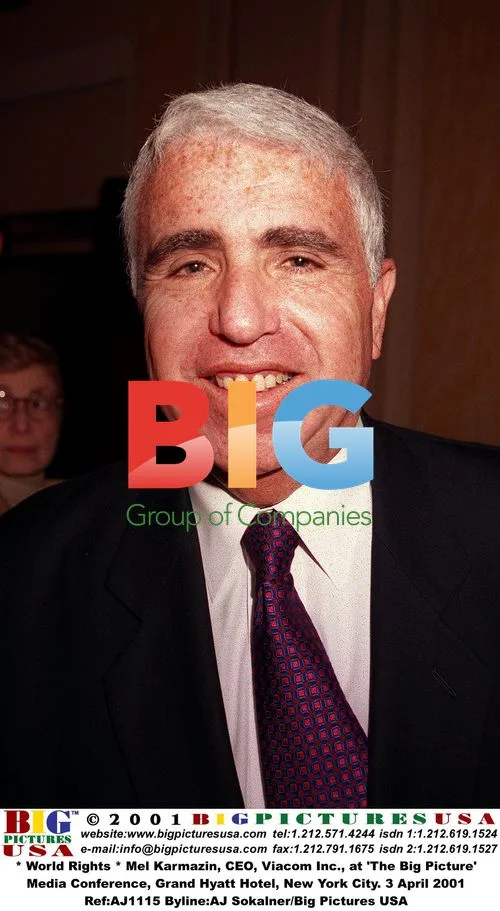 Mel Karmazin, CEO of Viacom, at 'The Big Picture' Media Conference