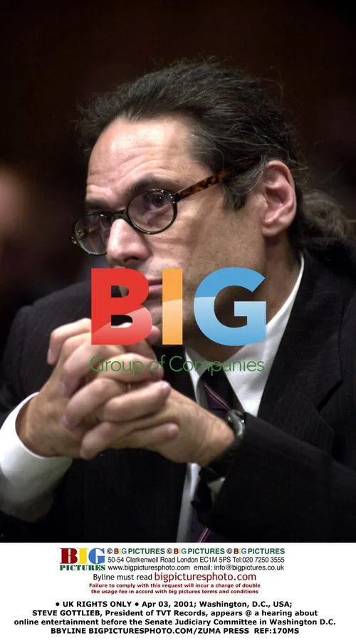 Steve Gottlieb Testifies on Online Entertainment