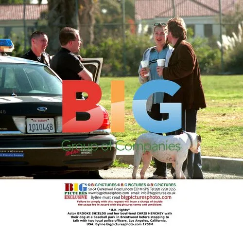 Brooke Shields and Chris Henchey walk dog, talk to police