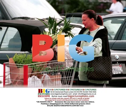 Roseanne shopping at West Hollywood grocery