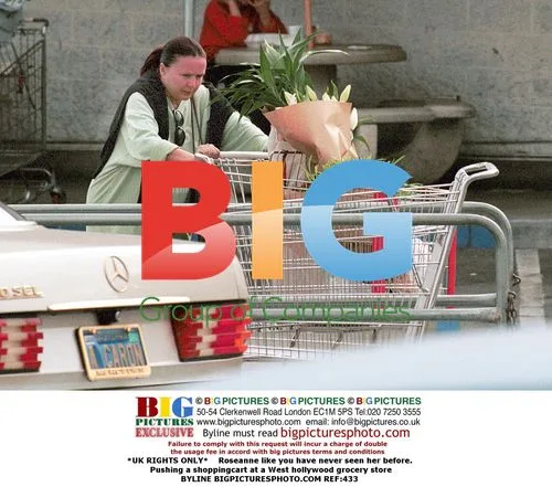 Roseanne at West Hollywood Grocery Store