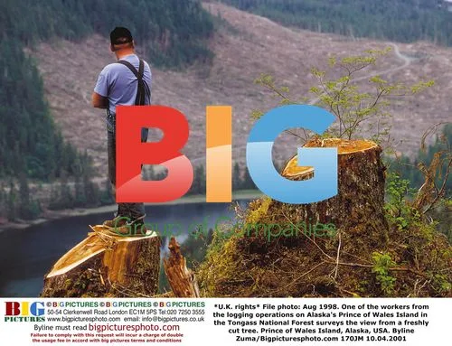 Logging operations in Alaska's Tongass National Forest