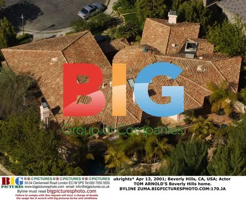Tom Arnold's Beverly Hills Home