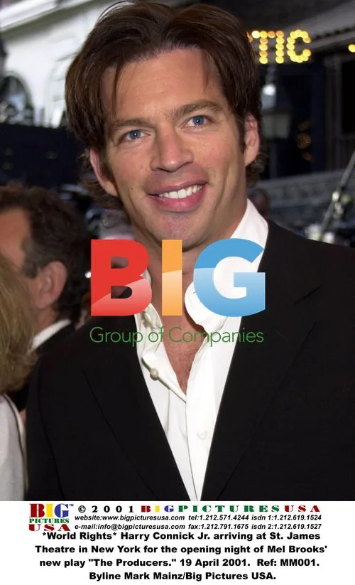 Harry Connick Jr. at "The Producers" play opening
