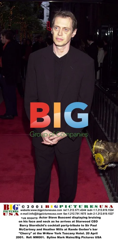 Steve Buscemi at Cocktail Party