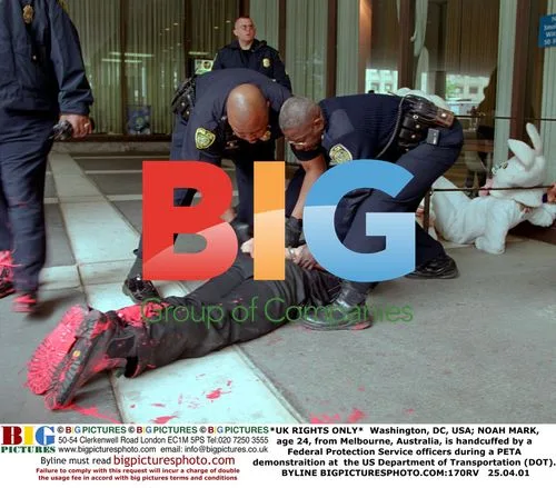Noah Mark Arrested at PETA Protest in Washington, DC