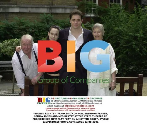 Frances O'Connor, Brendon Fraser, Gemma Jones and Ned Beatty promote play