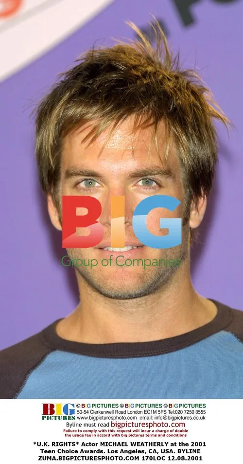 Michael Weatherly at 2001 Teen Choice Awards
