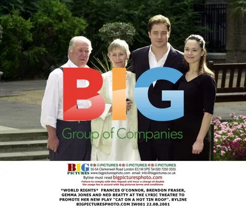 Frances O'Connor, Brendon Fraser, Gemma Jones, Ned Beatty Promote New Play
