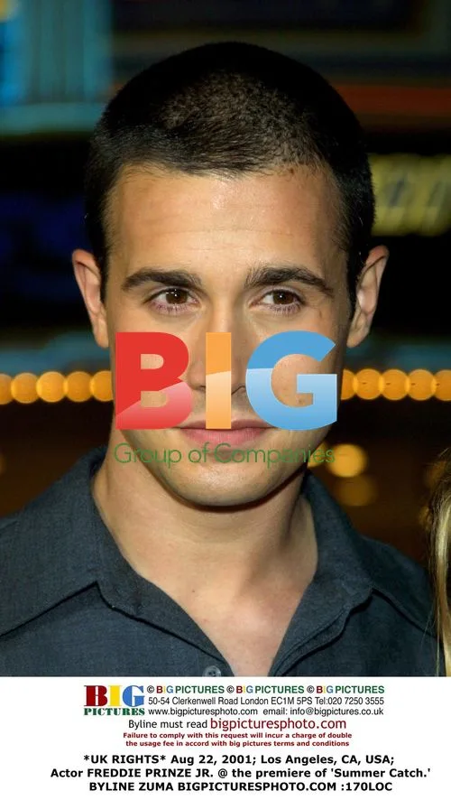 Freddie Prinze Jr. at 'Summer Catch' Premiere