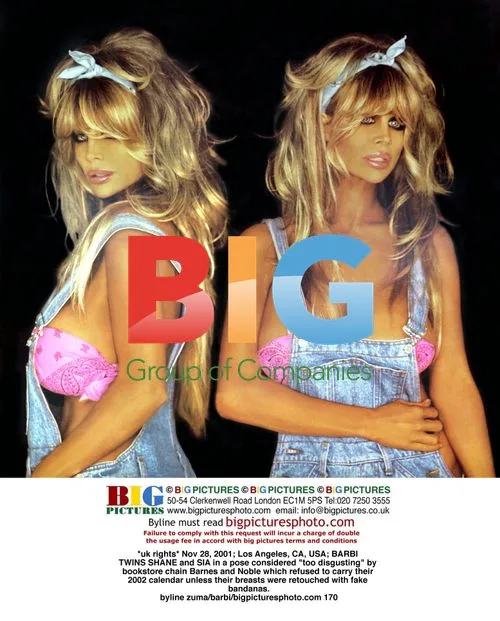 BARBI TWINS in 'too disgusting' calendar pose