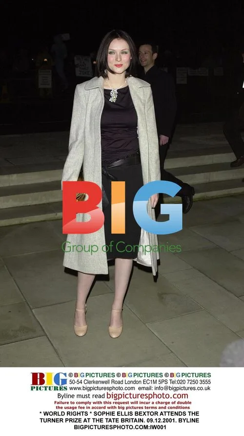 Sophie Ellis Bextor attends Turner Prize at Tate Britain
