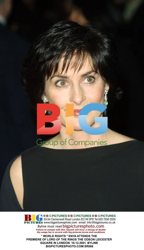 Enya Attends Lord of the Rings Premiere