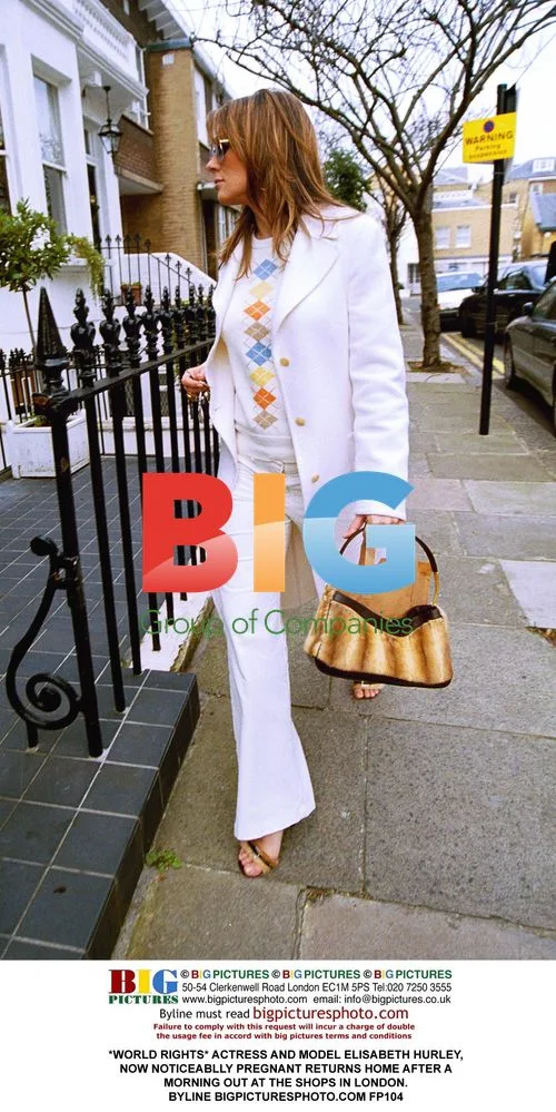 Elisabeth Hurley, noticeably pregnant, returns home in London