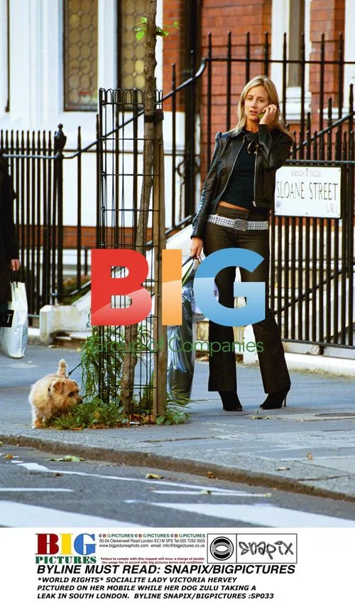 Socialite Lady Victoria Hervey with Dog Zulu