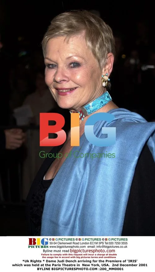 Dame Judi Dench at 'IRIS' Premiere in New York