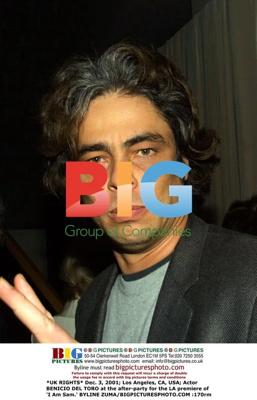 Benicio Del Toro at 'I Am Sam' premiere after-party