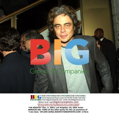 Benicio Del Toro at 'I Am Sam' premiere after-party
