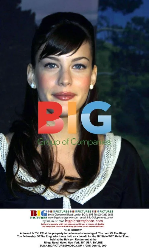 LIV TYLER at 'The Lord Of The Rings' pre-party