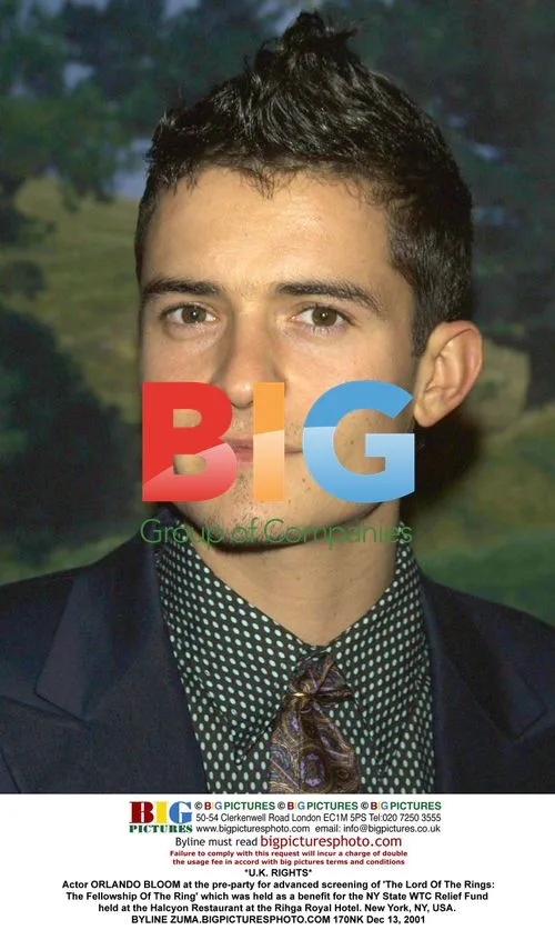 Orlando Bloom at 'The Fellowship of the Ring' pre-party